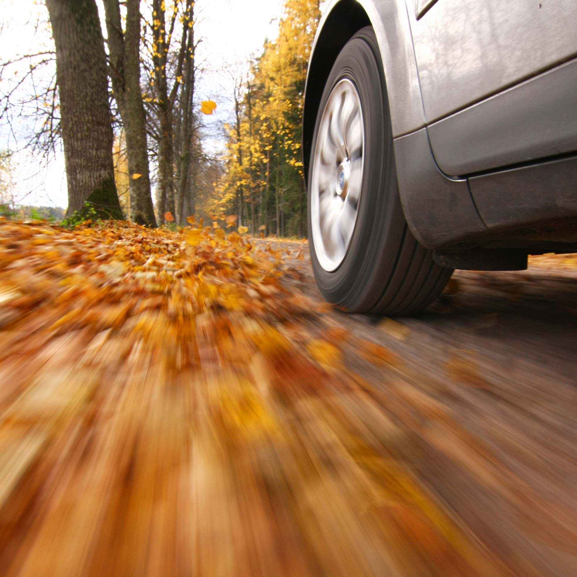 Driving on Autumn Country road social