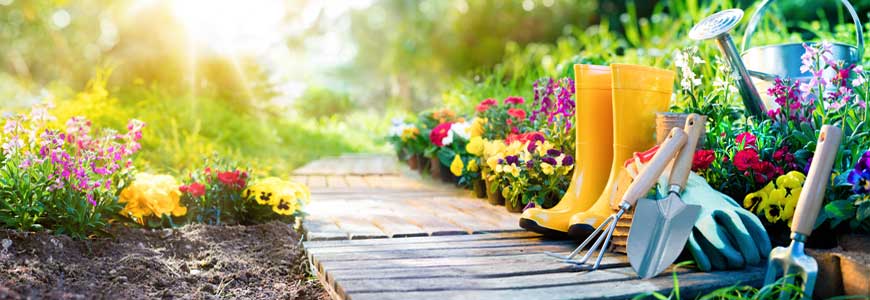 gardening story