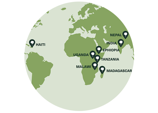 Allied Grow My Tree Around the world